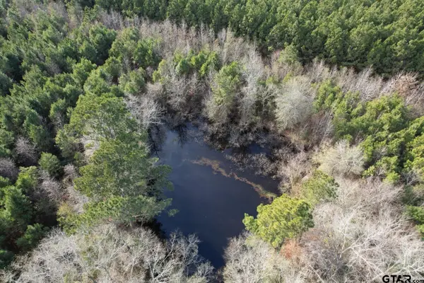 Tract D County Road 4037, Timpson, TX 75975