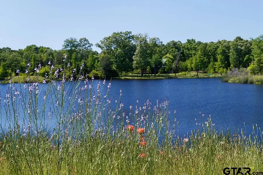 13 Lakeside Dr., Montalba, TX 75853 - Image #3