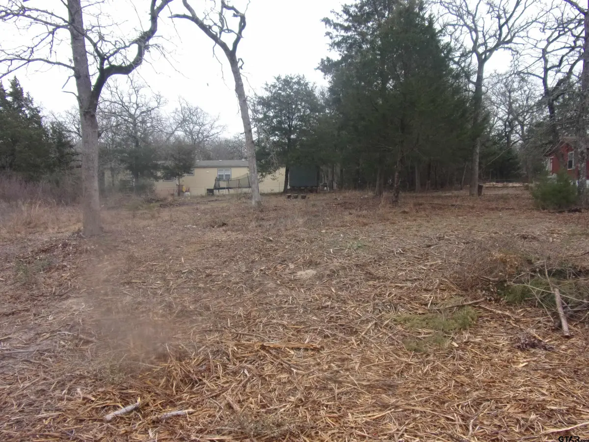 tbd Maple Dr., Murchison, TX 75778 - Image #1