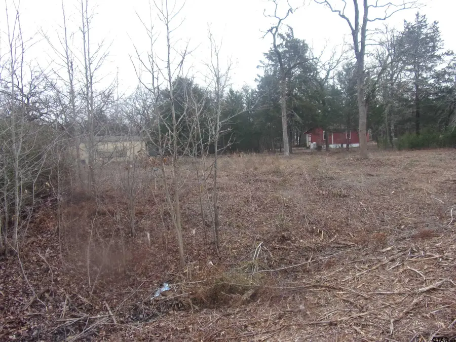 tbd Maple Dr., Murchison, TX 75778 - Image #3