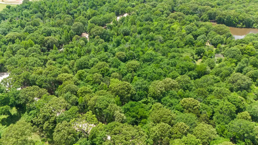 TRACT J/ 500 Private Road 8507, Van, TX 75790 - #2