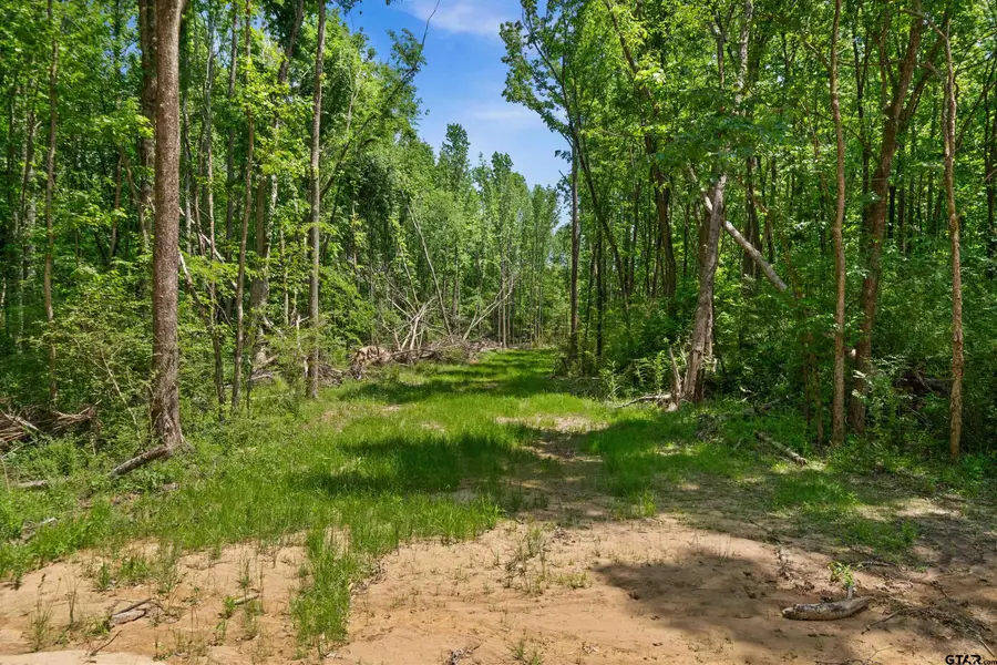 TRACT J/ 500 Private Road 8507, Van, TX 75790 - #3
