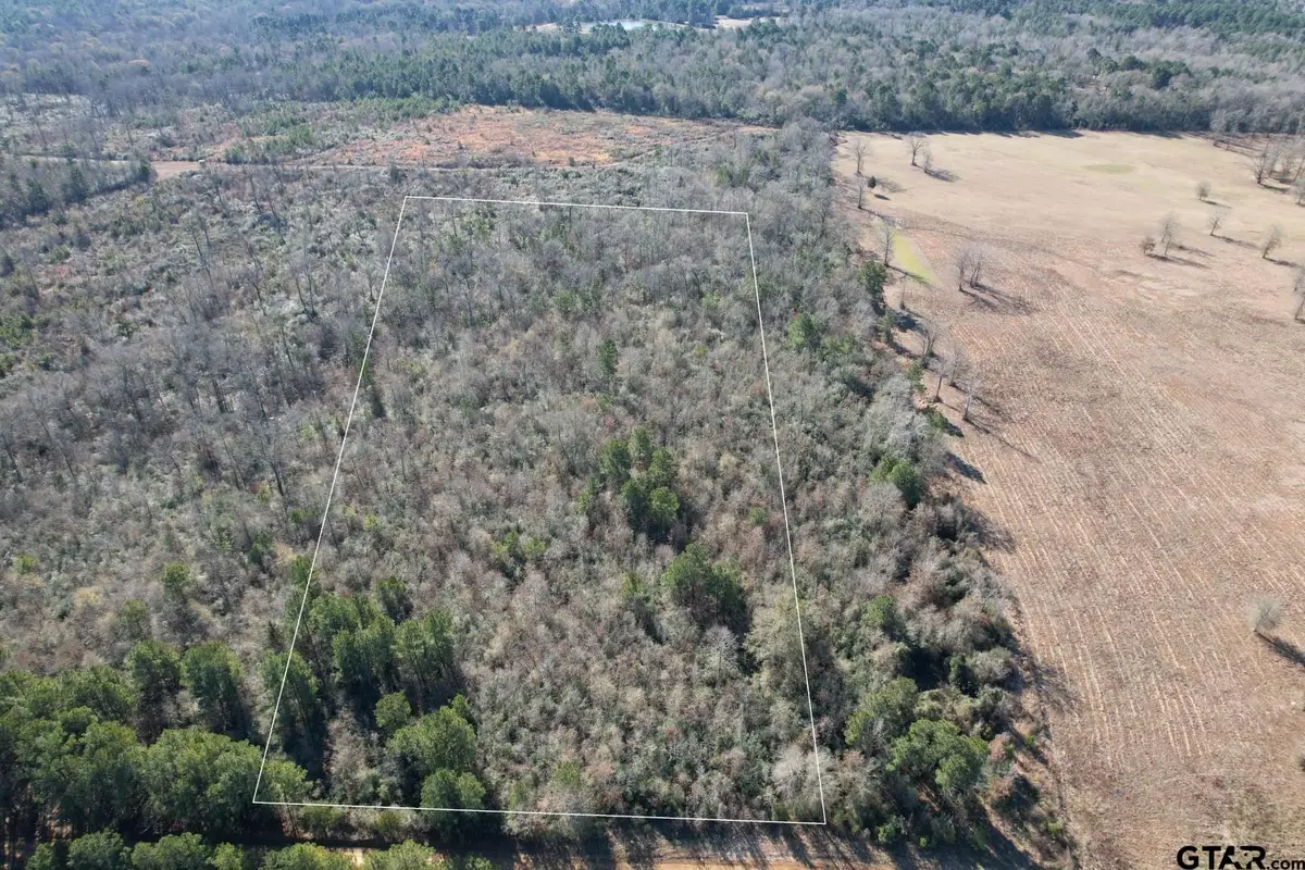TBD-C County Road 4021, Timpson, TX 75975 - #1