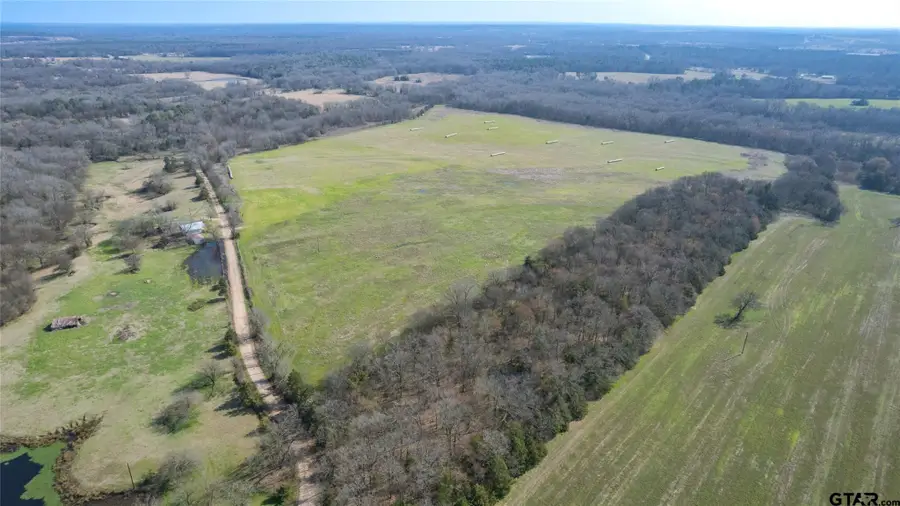 80ac Lot2 County Road 2376, Winnsboro, TX 75494 - #2