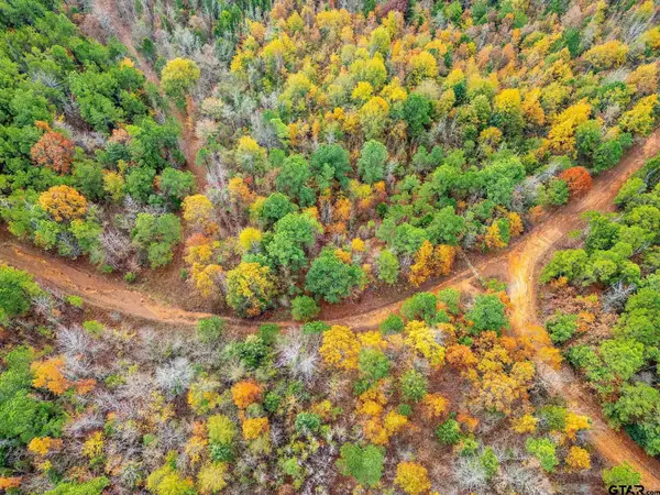 TBD N HWY 259, Lone Star, TX 75668