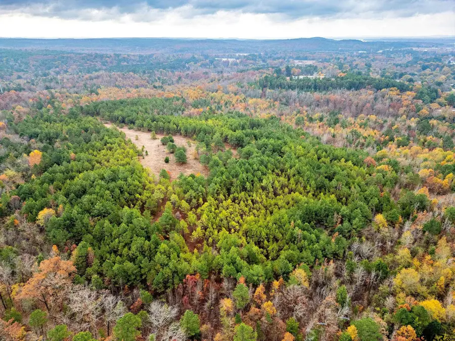 TBD N HWY 259, Lone Star, TX 75668 - Image #2