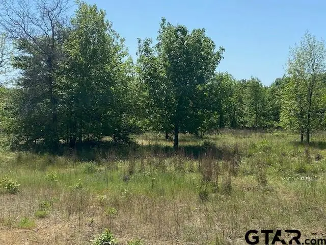 7120 Whispering Oaks Drive, Athens, TX 75752 - Image #2