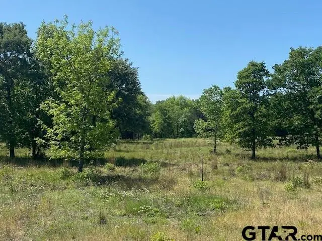 Lots 4-7 Whispering Oaks Drive, Athens, TX 75752 - Image #2