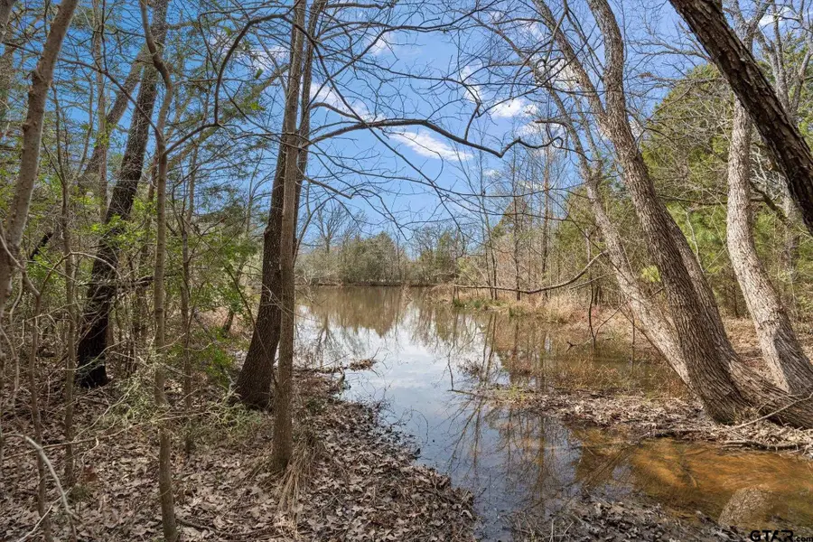 TBD HWY 198, Canton, TX 75103 - Image #3