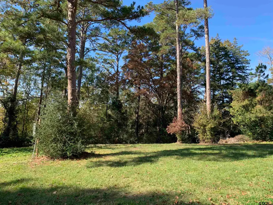 11524 & 11536 Drake's Landing, Frankston, TX 75763 - Image #2