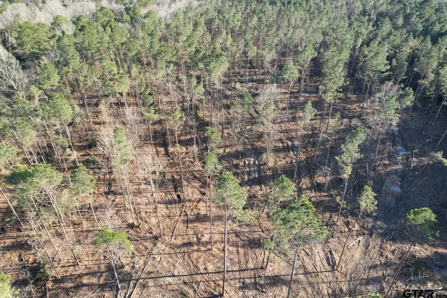 TBD County Road 430, Carthage, TX 75633 - #2