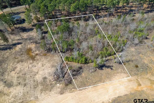 Lot 2 Piney Ln., Pittsburg, TX 75686