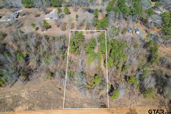 Lot 8 Piney Ln., Pittsburg, TX 75686