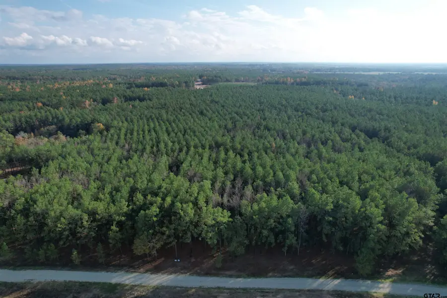 350 Williamson Way, Lovelady, TX 75851 - #2