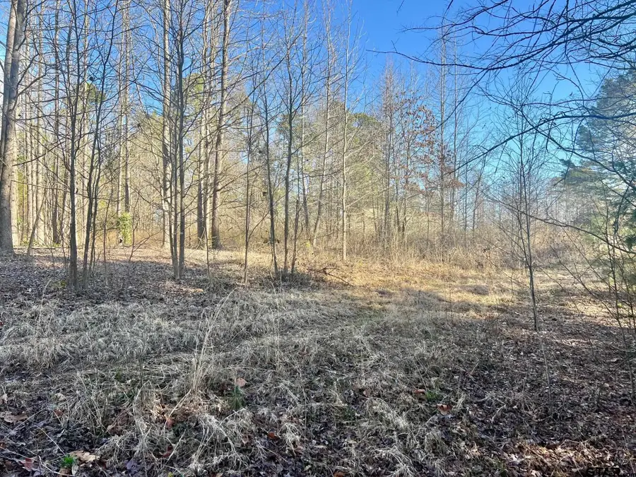 TBD CR 1670, Mount Pleasant, TX 75455 - Image #2