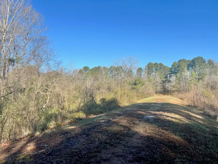 TBD CR 1670, Mount Pleasant, TX 75455 - Image #3