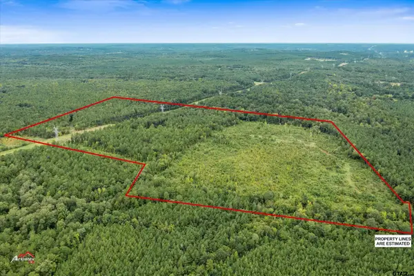 TBD Fm 95 (69+/- Acres), Mt Enterprise,  75681