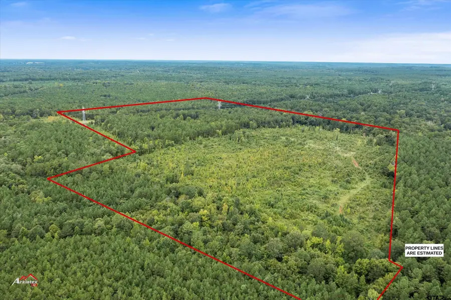 TBD Fm 95 (69+/- Acres), Mount Enterprise, TX 75681 - #2