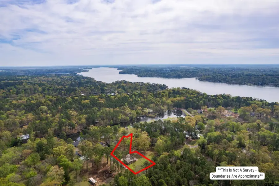 102 King Henry, Scroggins, TX 75480 - Image #3