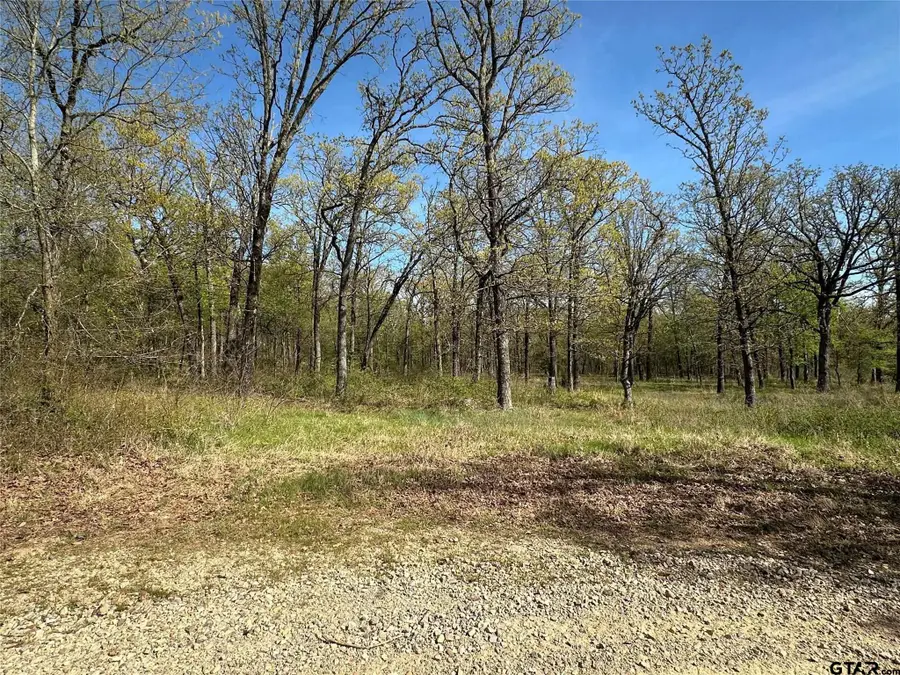 0000 County Road 3641, Sulphur Springs, TX 75482 - Image #3