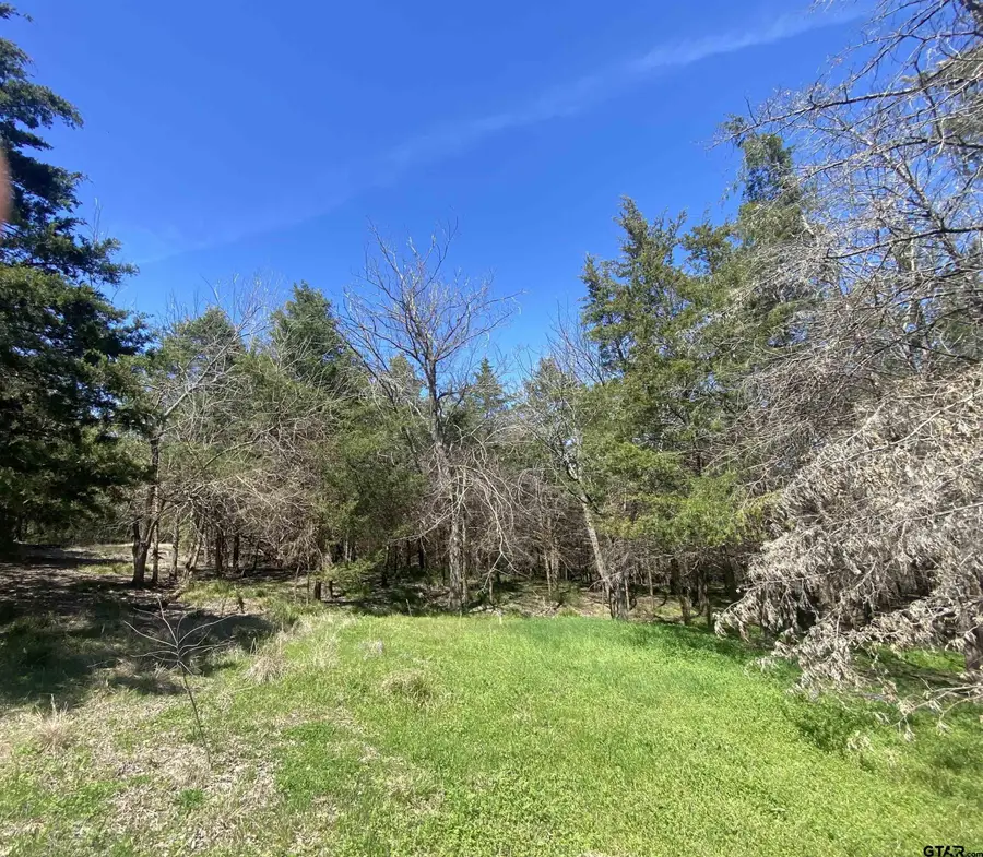 738 FM 1184, Paris, TX 75460 - #2