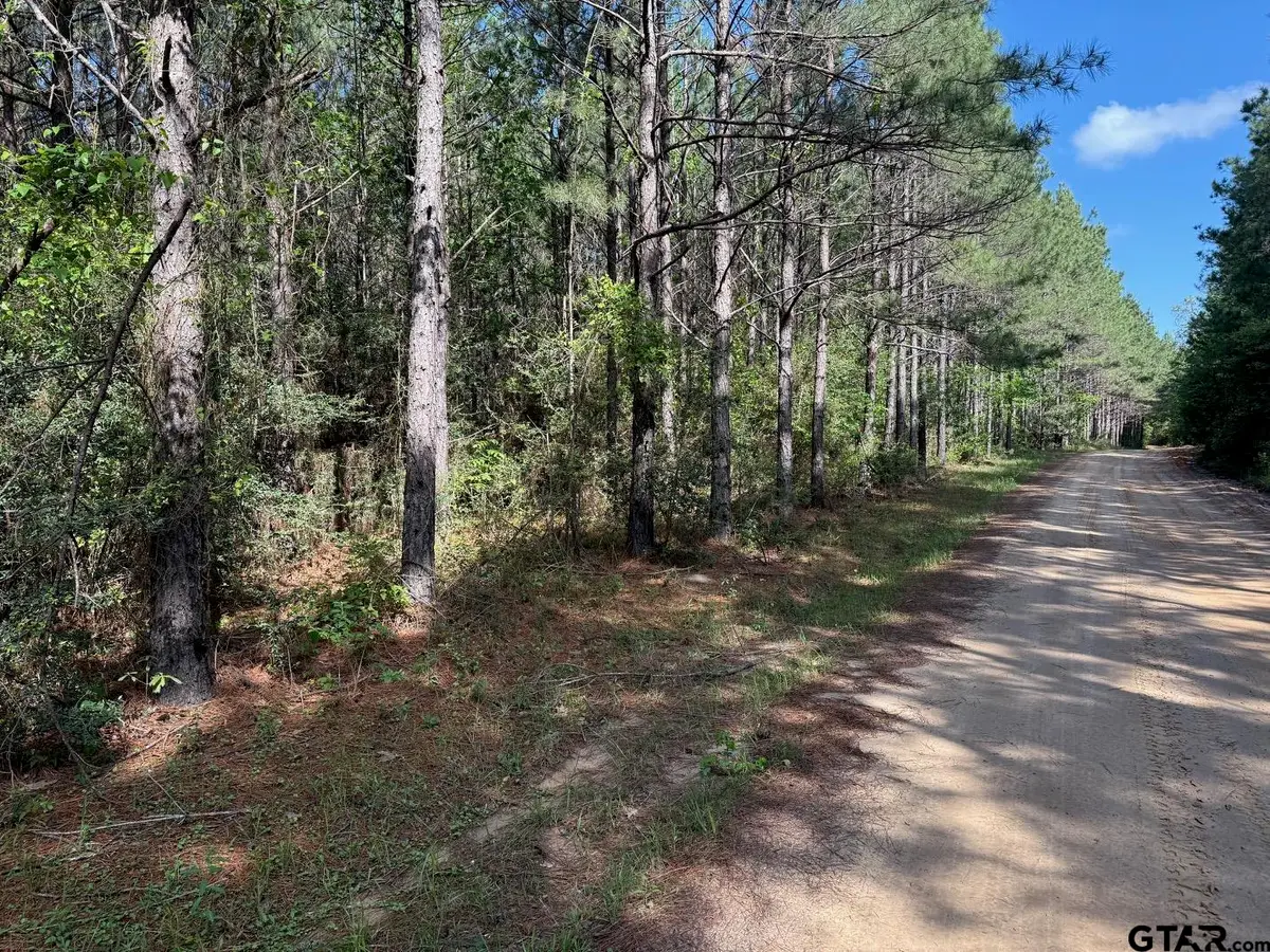 686 Pr 5102, Kennard Ratcliff, TX 75847 - #1