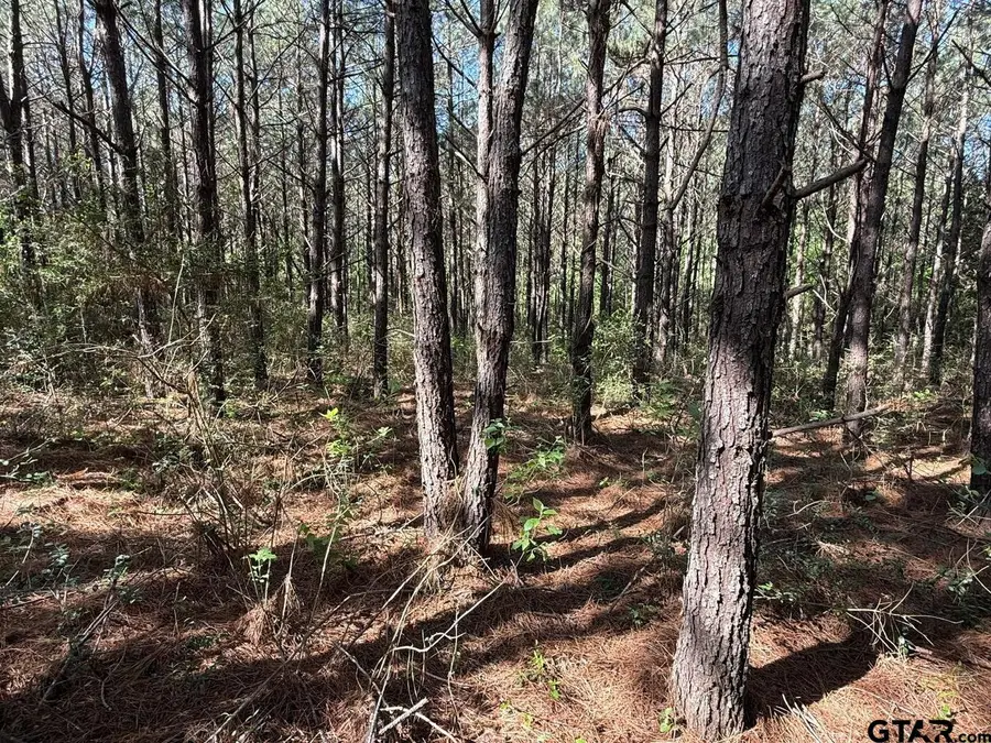 686 Pr 5102, Kennard Ratcliff, TX 75847 - #2