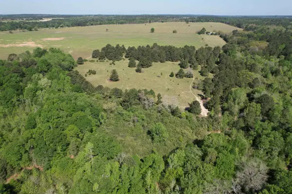 2954 CR 2170, Grapeland, TX 75844