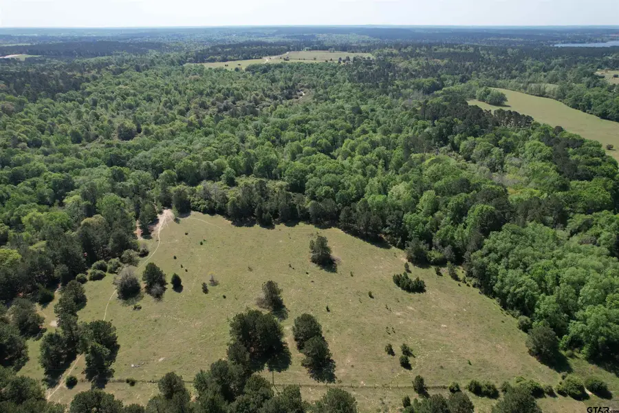 2954 CR 2170, Grapeland, TX 75844 - Image #3