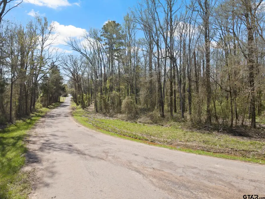 Lot 1 & 2 CR 4365, Mount Pleasant, TX 75455 - #2