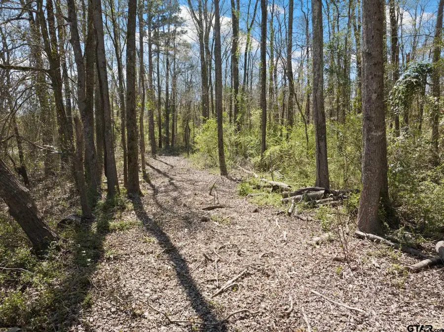 Lot 1 & 2 CR 4365, Mount Pleasant, TX 75455 - #3