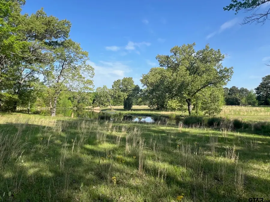 TBD CR 1755, Mount Pleasant, TX 75455 - #2