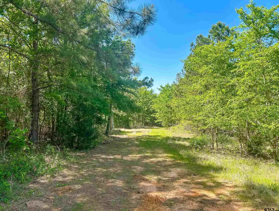 TBD CR 4814, Ben Wheeler, TX 75754 - Image #2