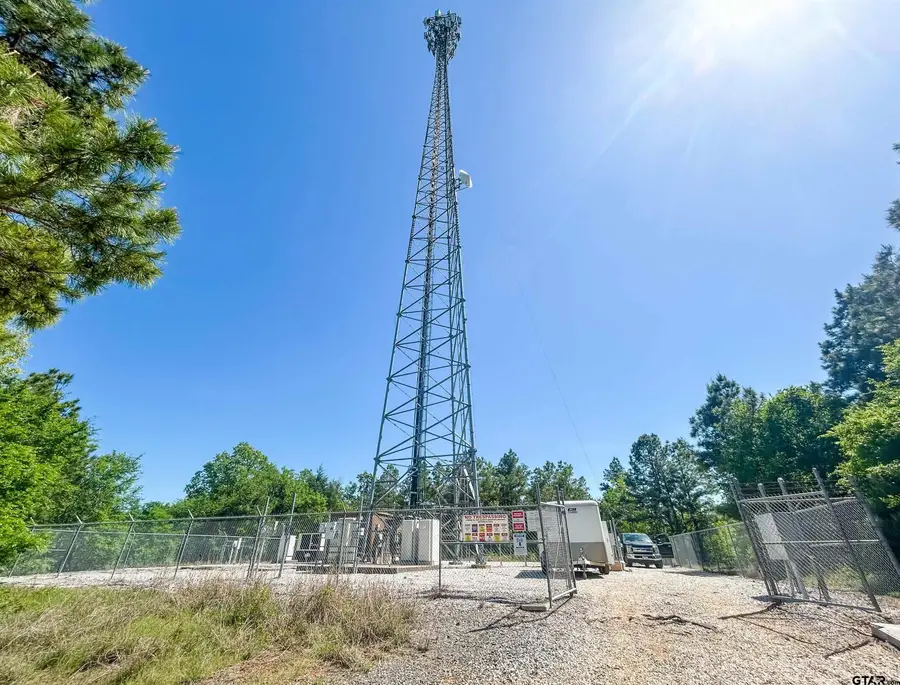 TBD CR 4814, Ben Wheeler, TX 75754 - Image #3