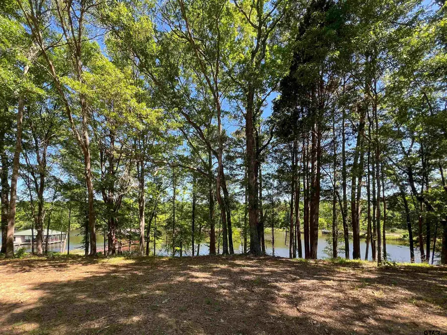 17931 Gordons Landing, Arp, TX 75750 - Image #2