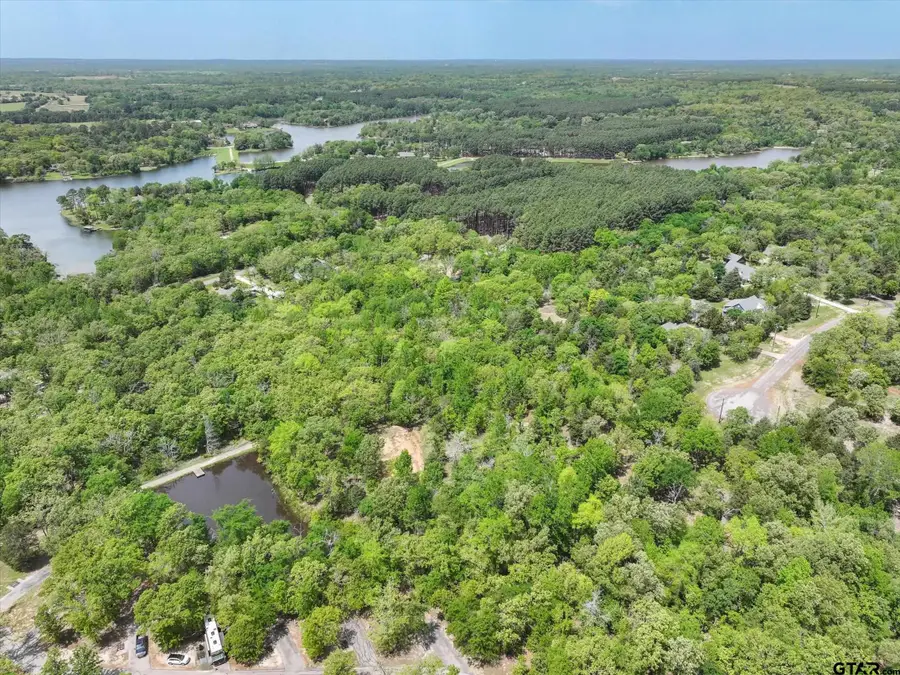 8950 Timber Ridge, Larue, TX 75770 - Image #2