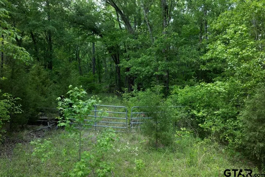 4605 County Road 3800, Athens, TX 75751 - Image #2