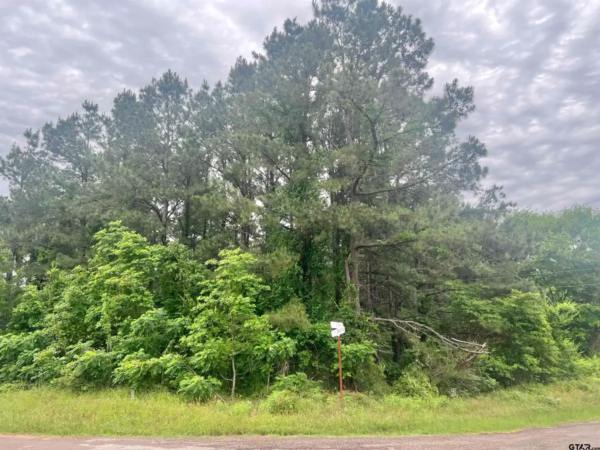 TBD CR 2670, Mount Pleasant, TX 75455 - #1