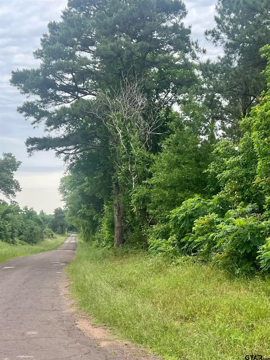 TBD CR 2670, Mount Pleasant, TX 75455 - #2