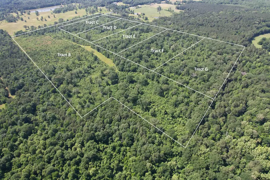 TBD-D County Road 4021, Timpson, TX 75975 - Image #2