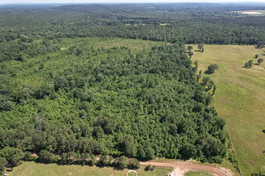 TBD-D County Road 4021, Timpson, TX 75975 - Image #3