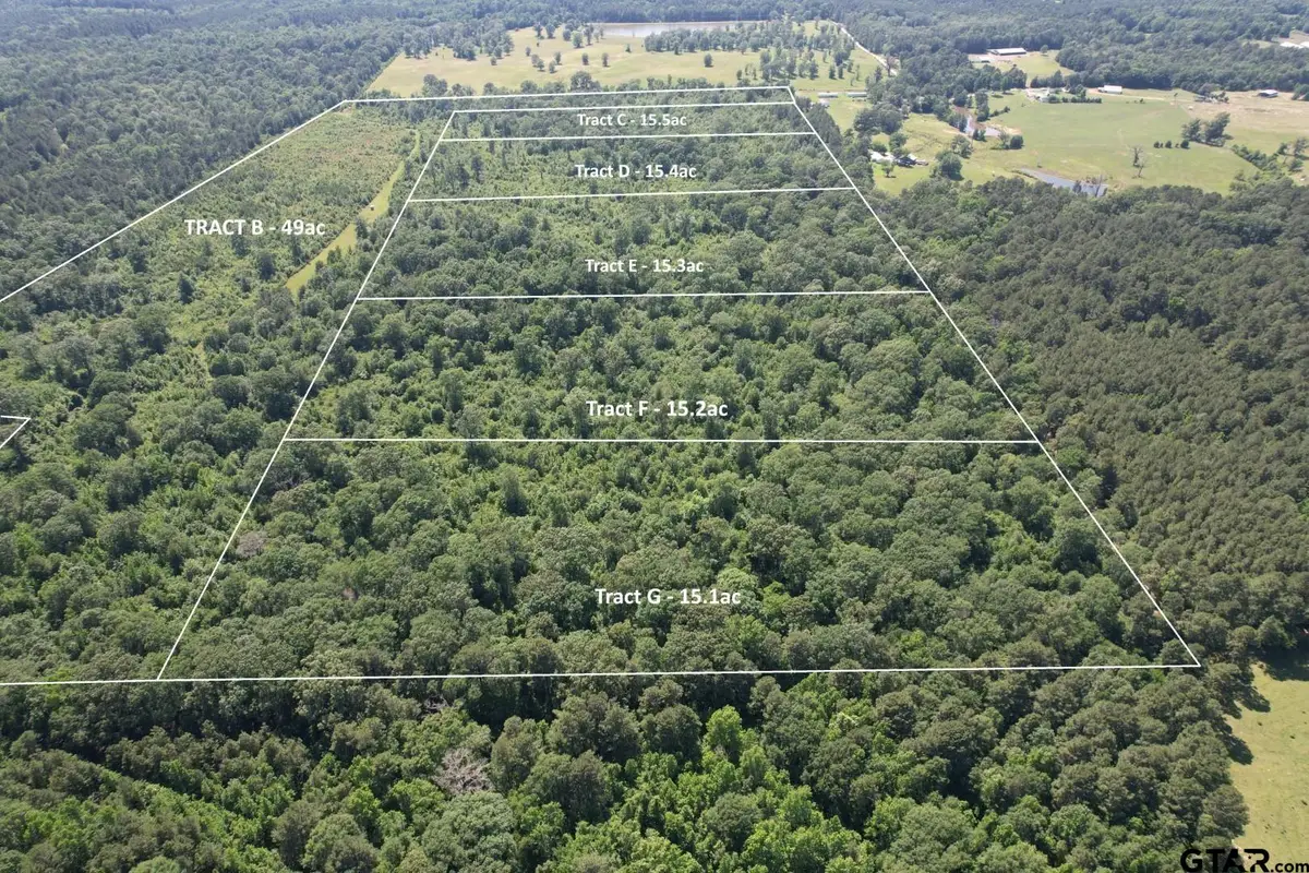 TBD-E County Road 4021, Timpson, TX 75975 - #1