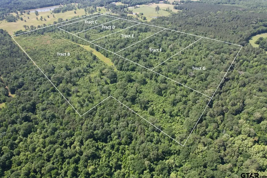 TBD-G County Road 4021, Timpson, TX 75975 - #2