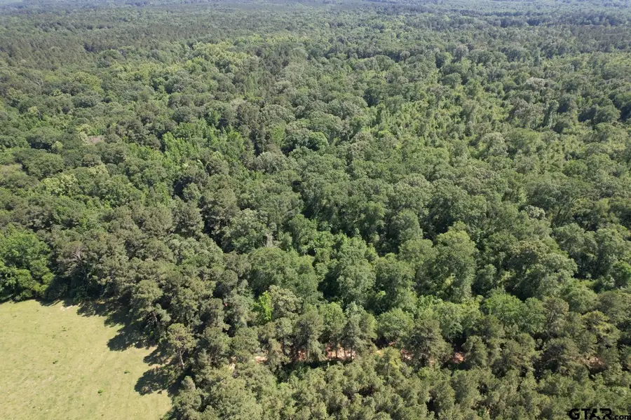 TBD-G County Road 4021, Timpson, TX 75975 - #3