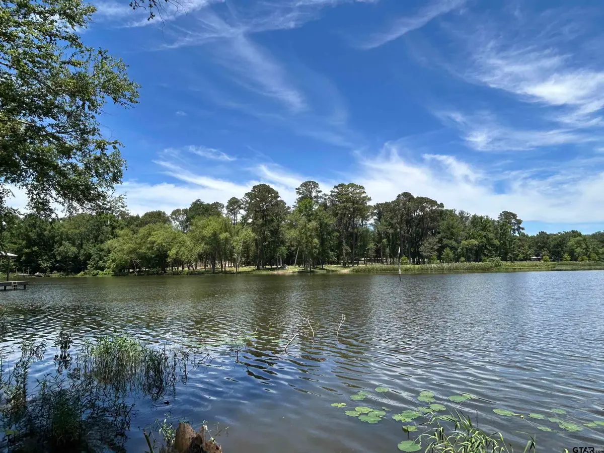 LOT TR 5B STEVENSON RD, Frankston, TX 75763 - #1