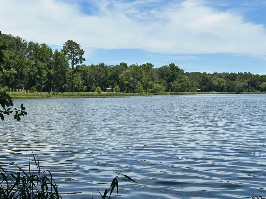 LOT TR 5B STEVENSON RD, Frankston, TX 75763 - #2