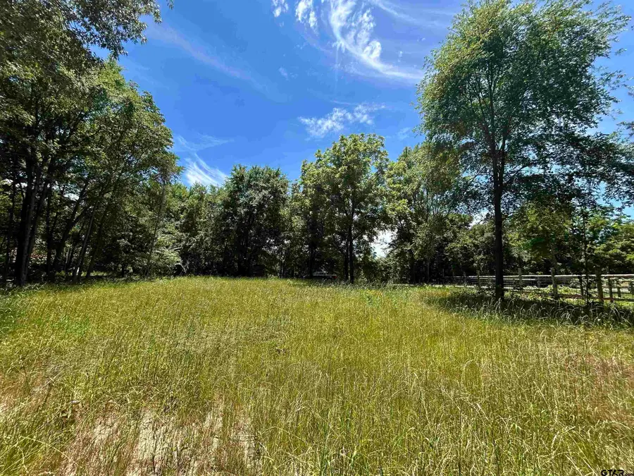 LOT TR 5B STEVENSON RD, Frankston, TX 75763 - #3