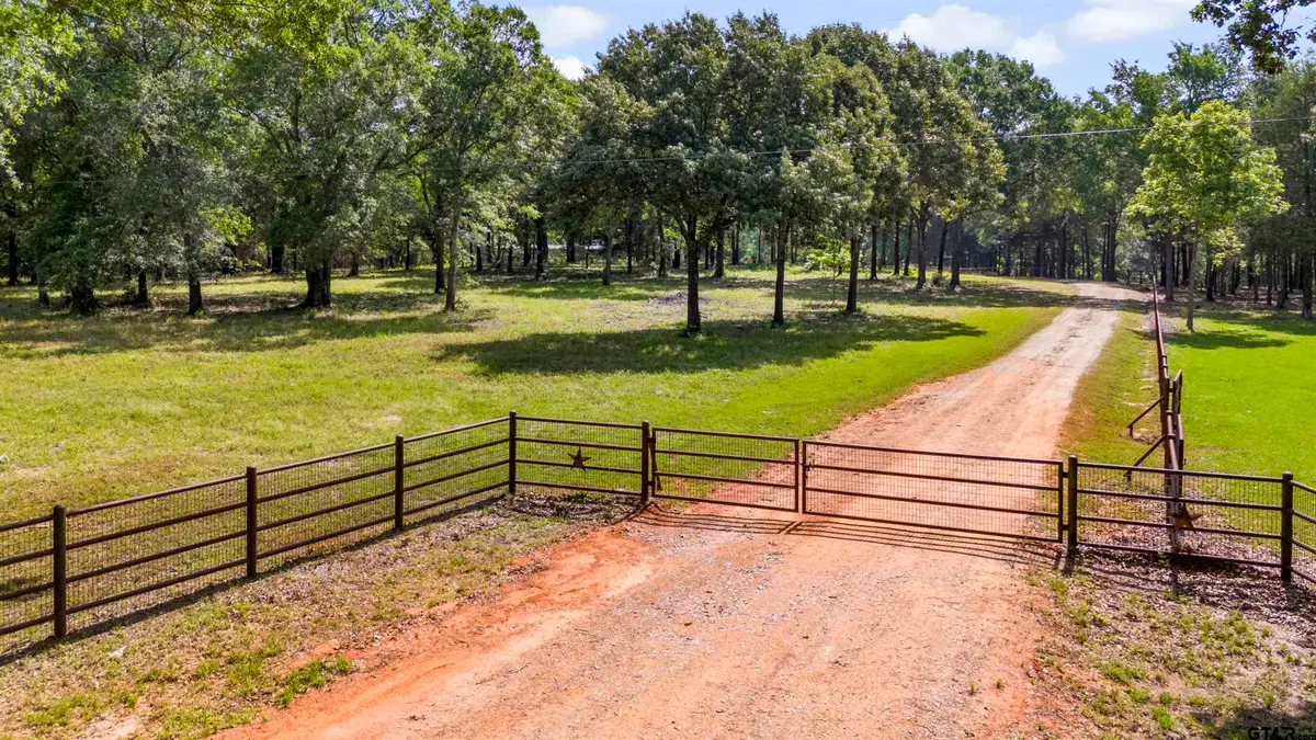 000 VZ County Road 4505, Ben Wheeler, TX 75754 - Image #1