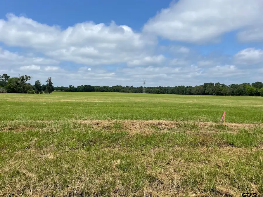 20473 Cr 4126 Lot 8, Lindale, TX 75771 - #2