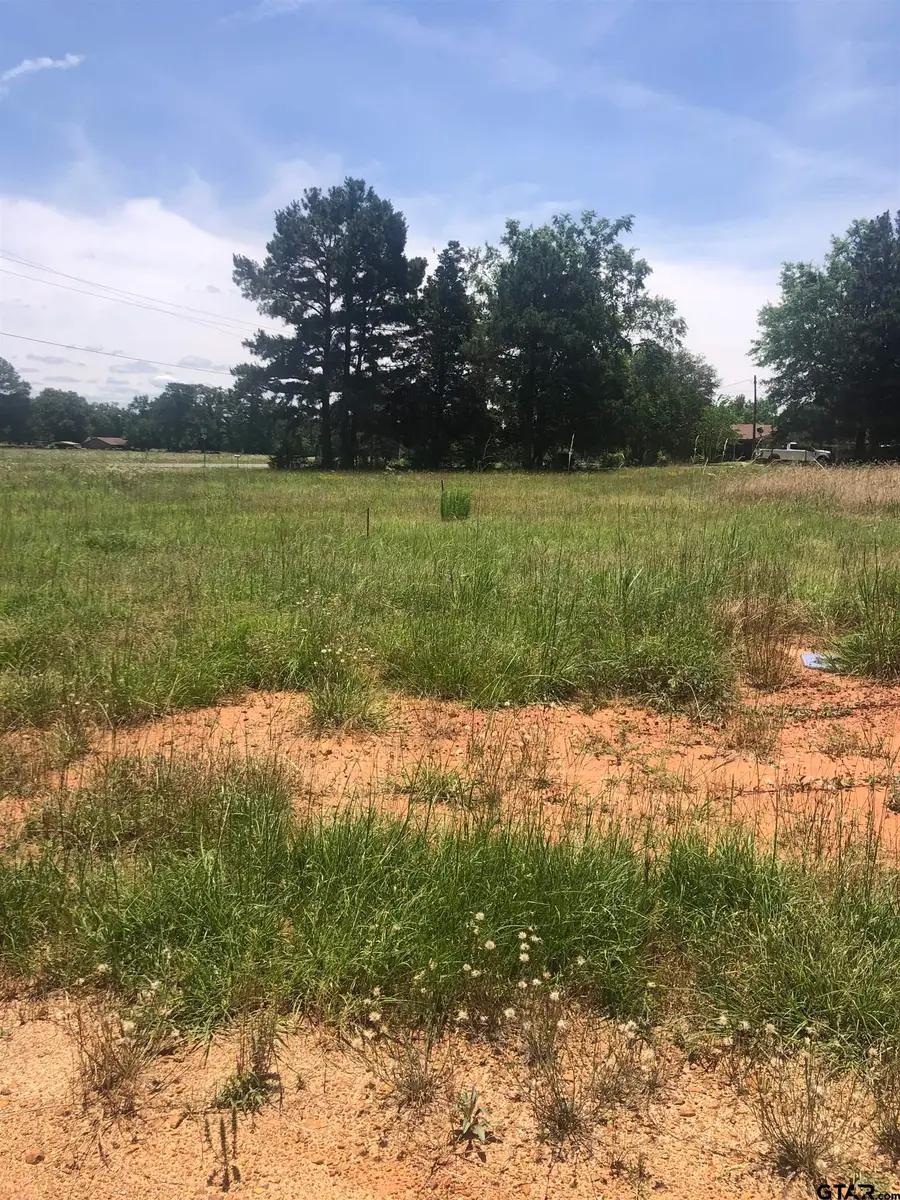 TBD Meadow Lane, Naples, TX 75568 - Image #3